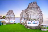 COCOON